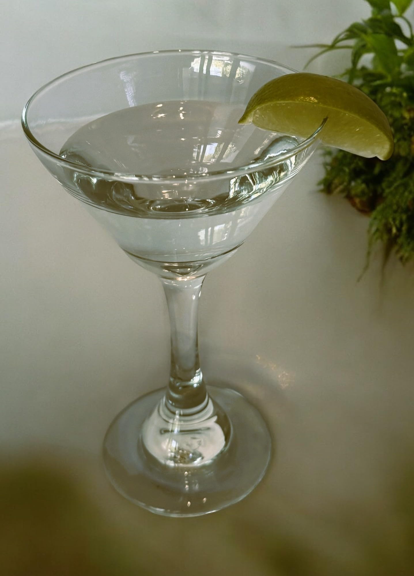 Aspen Brands Crist Martini Glasses, Set of 12, 9oz, Coupe, Tempered Rims, Dishwasher-safe