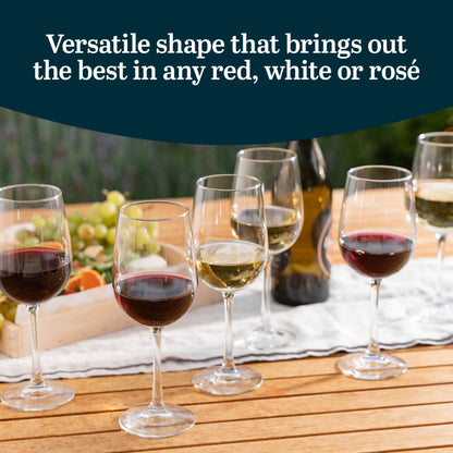 Libbey Vina Tall Wine Glasses Set, All Purpose Red and White Wine Glasses Set of 12, 16 Fluid Ounces, Professional Grade Glass Wine Glasses for Gatherings, Events